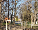 Koyo podporuje revitalizaci zeleně 