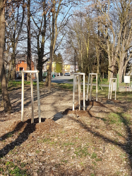 Koyo podporuje revitalizaci zeleně