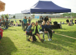 Koyo Bearings uspořádalo druhý ročník Koyo Festivalu