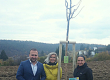 Stali jsme se patronem lípy srdčité a současně podpořili Nadaci Malý Noe